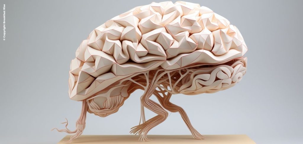 FAQ Section Japanese Breakfast Recipe Realistic Brain in Origami Style.